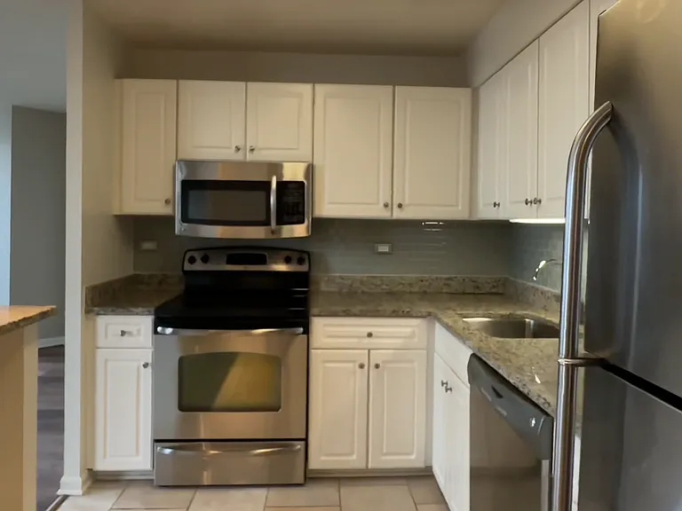 745 N Rush St #3203 — Photo 8