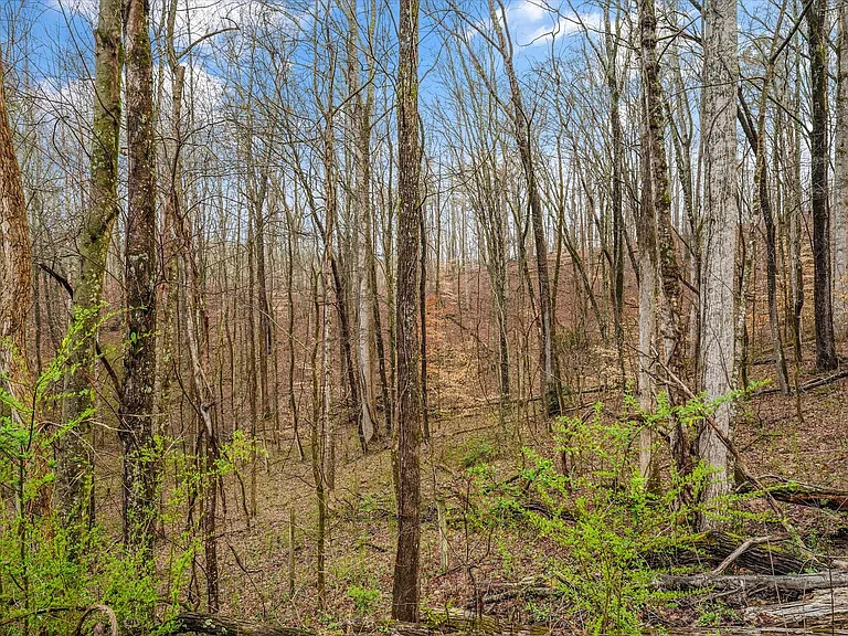 147 Little Emory Rd — Photo 32