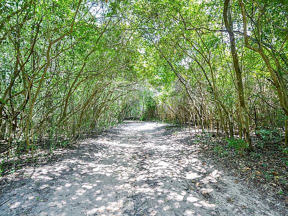 16713 Grant Road....Tree-line private drive into this 10 Acre wooded property in Cypress.