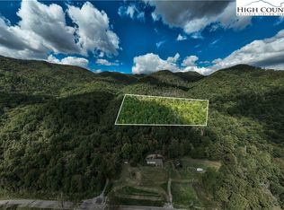 TBD Roan Creek Road, Butler, TN 37640