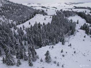 0 Lot 38 Mountain View Road, Oroville, WA 98844