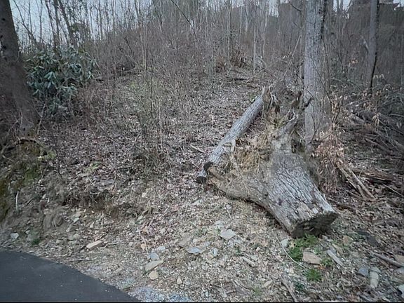 3rd image of LOT 506 Crooked Ridge Rd
