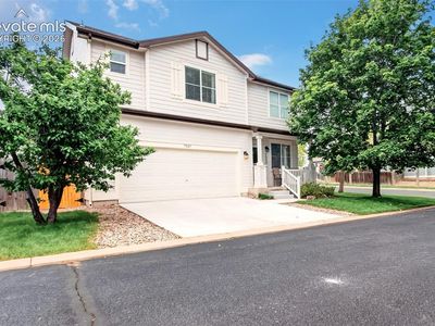 7005 Isle Bay Point, Colorado Springs, CO, 80922