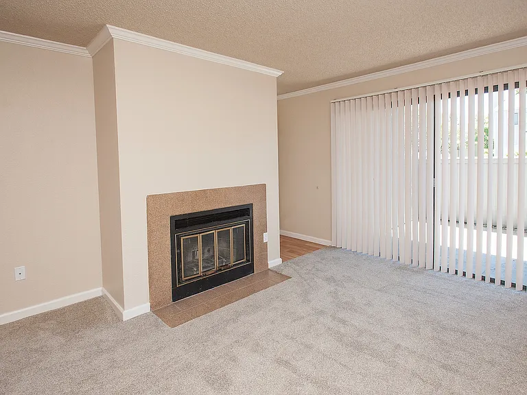 PTA Interior Fireplace (1)