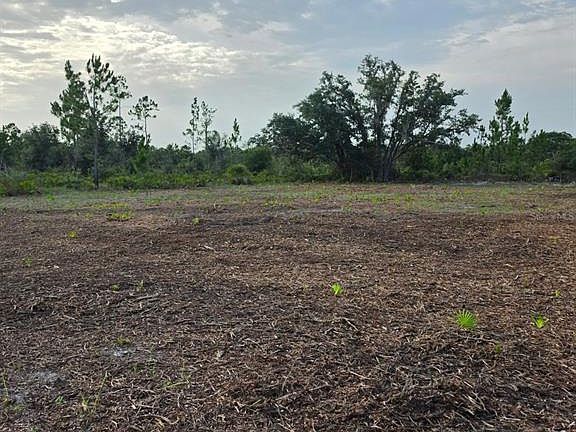 2nd image of 1106 CALLIANDRA DRIVE LOT 3