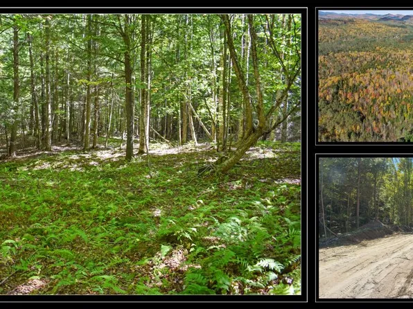 85 Carriage Knoll Road, Chestertown, NY 12817