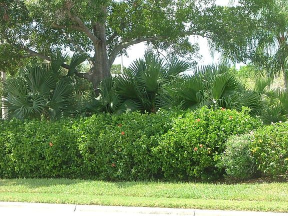 beautiful landscaping