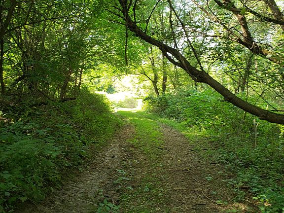 4th image of 60418 County Road B