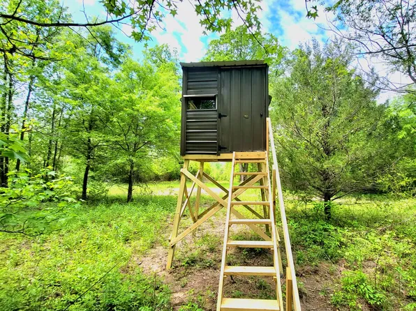 691 Tabron School Rd, Hollister, NC 27844