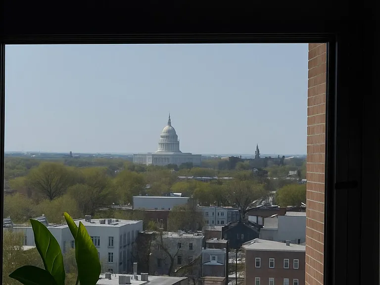 Window View