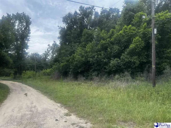 S 22nd Ave, Dillon, SC 29536