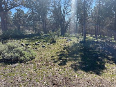 LOT 507 Dowitcher Rd, Klamath Falls, OR, 97601