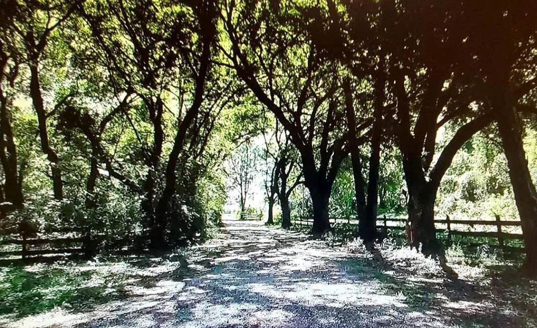 N Sam Houston Pkwy W, Houston — Photo 1