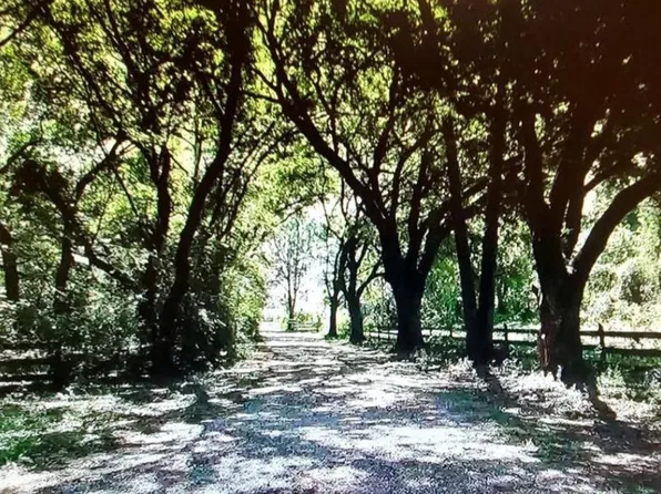 (undisclosed Address), Houston, TX 77038