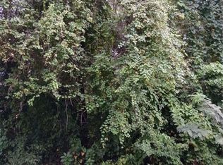 6245 E Peach St, Inverness, FL 34452