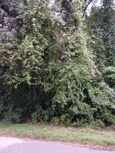 6245 E Peach St, Inverness, FL, 34452