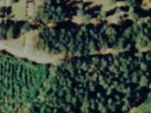 18436 Lod Stafford Rd, Walker, LA 70785