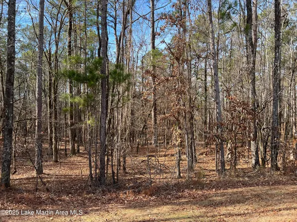 3 Stagecoach Rd, Dadeville, AL 36853