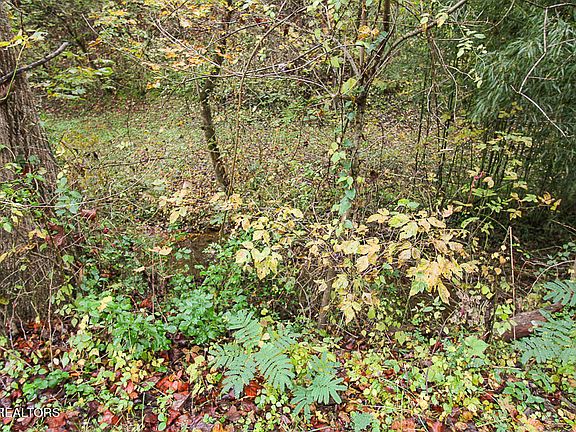 5th image of LOT Township Road 1 Flat Branch Rd