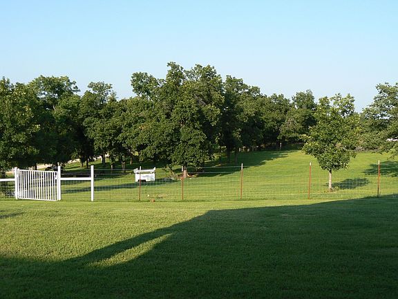 View of the Back 2.5 Acres!