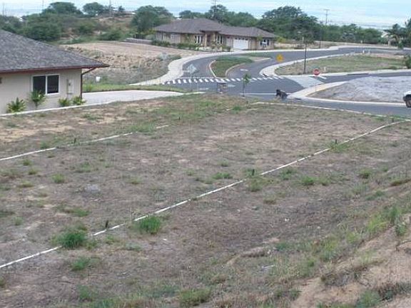 Lot 6
