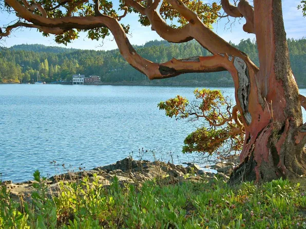 0 Fane Is, Gulf Islands, NL A1A 1A1