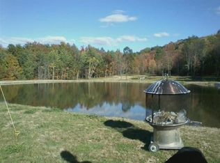 1016 Ballyhack Rd, Pt Crane, NY 13833