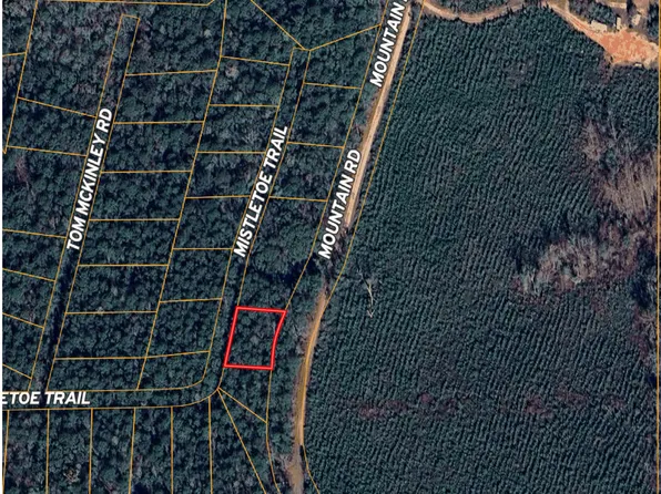 Mistletoe Trl, Waverly Hall, GA 31831