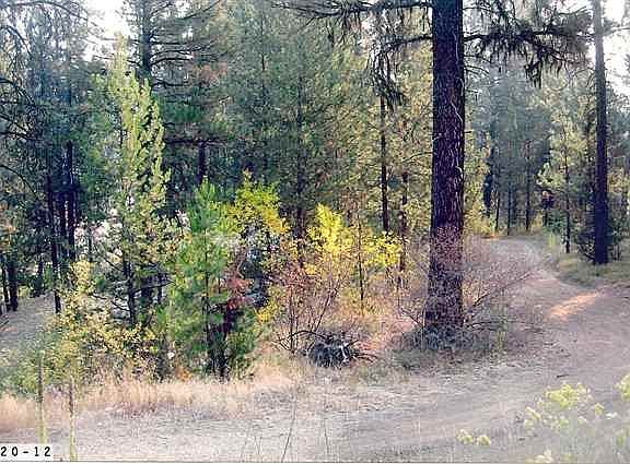5th image of 21 Meadow Creek Dr