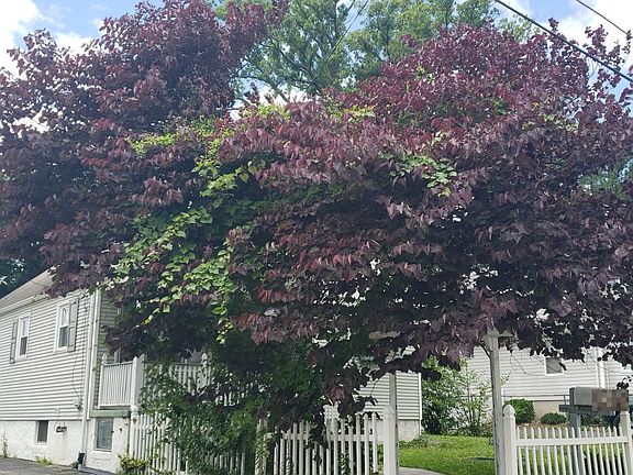 3rd image of 4129 Slater Ave