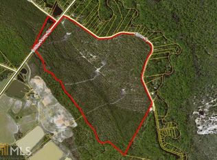 0 Griffin Ferry Rd, Lyons, GA 30436