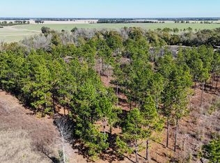 0 Lone Oak Trl, Colquitt, GA 39837