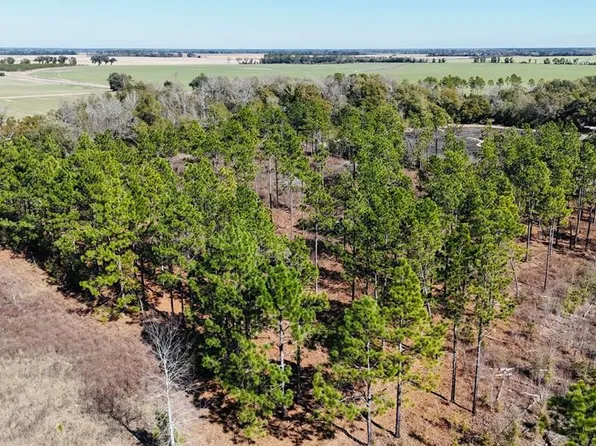 0 Lone Oak Trl, Colquitt, GA 39837