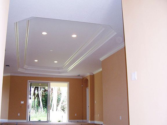 Double Step Trac Ceiling in Living Room