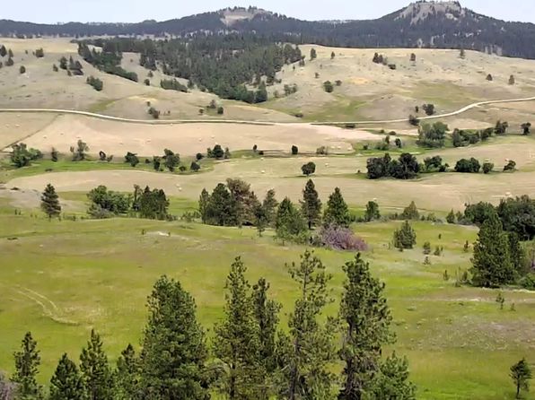 E11 Black Bear Rd, Hulett, WY 82720