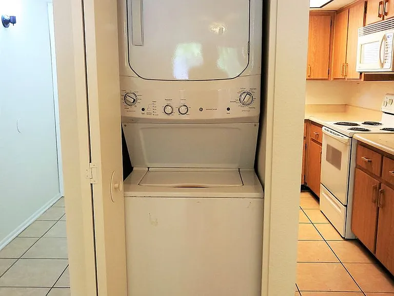 1215 E Lemon St #113 — Photo 11