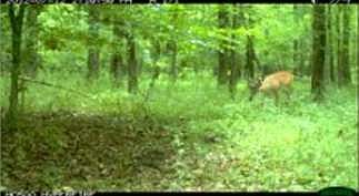 5th image of 510 Schoolfield Rd