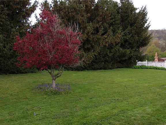 4th image of 11 Crescent Dr