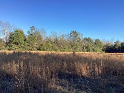 67 McIntyre Rd, Andalusia, AL, 36420