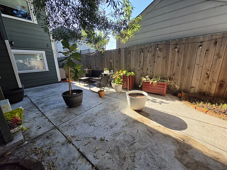 1822 Bay St #D — Photo 13