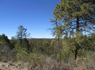 10 Miles Loop, Timberon, NM 88317