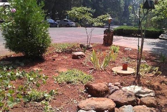 Low Maintenance Yard