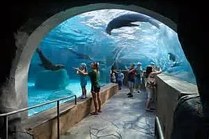 Oakland Ave — Photo 19