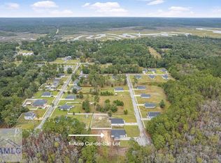 1138 Hanover Ln, Townsend, GA 31331