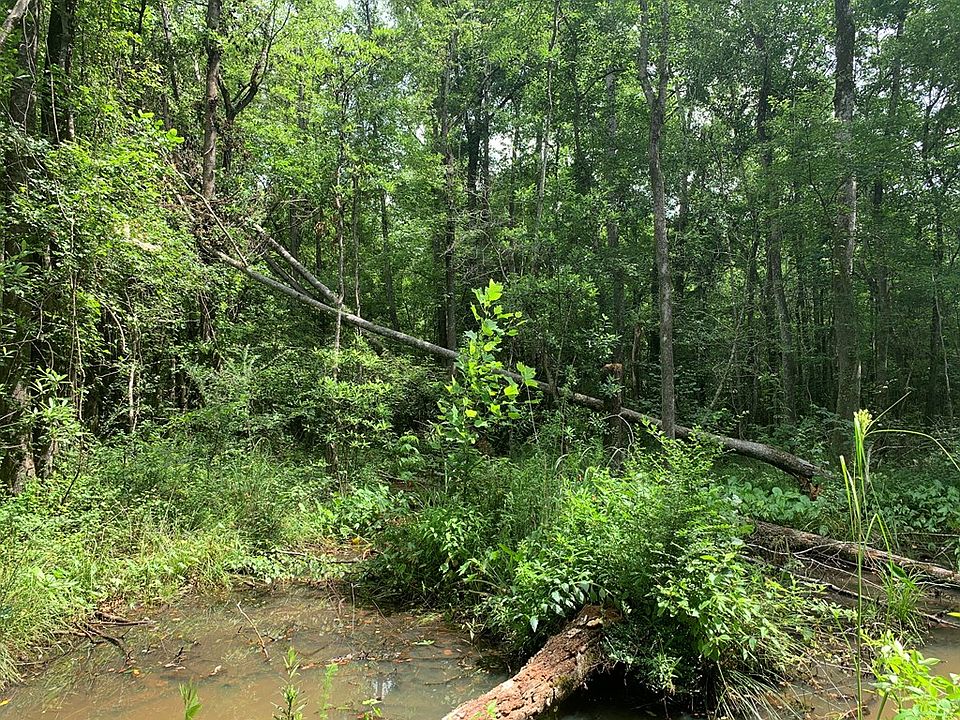 0 County Road 4404, Banks, AL 36005 Zillow