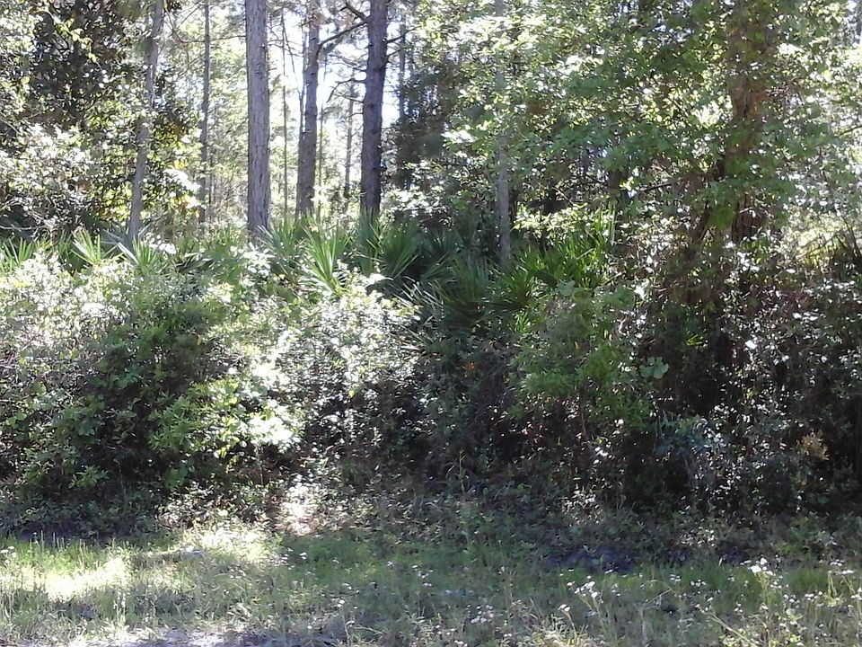 2nd image of 113 Bass Ln