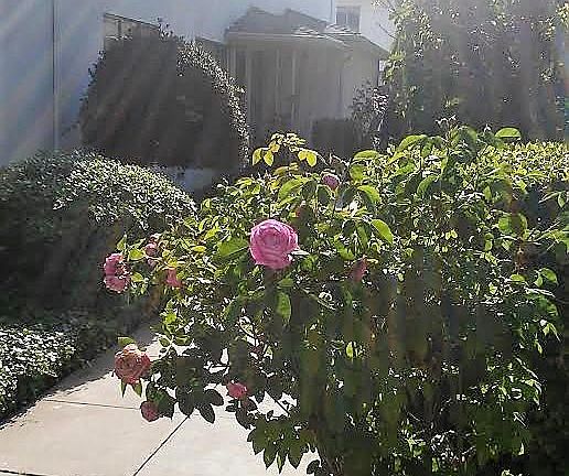 2nd image of 16821 Yukon Ave APT 6