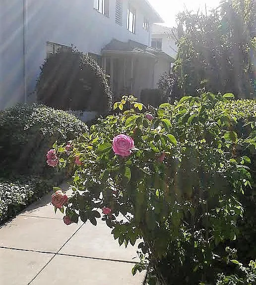 16821 Yukon Ave #6 — Photo 2