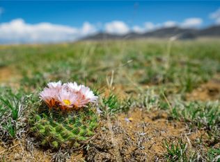 514 Chase Gulch Rd, Lake George, CO 80827