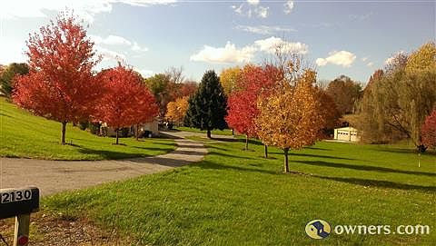 View from the road during Fall Season